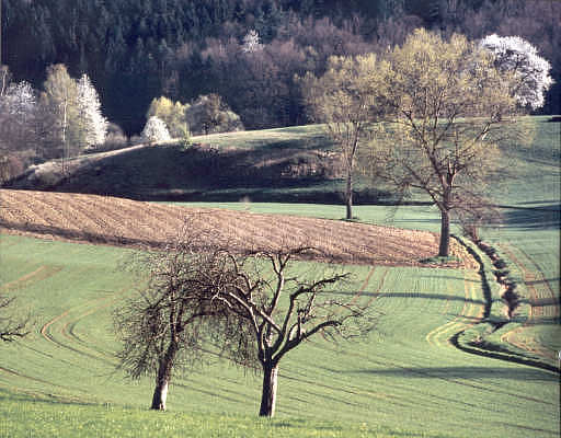 swabian landscape