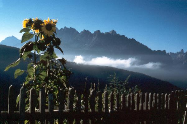 Bauerngarten Bauerngarten
